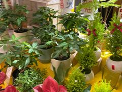 -成都仁和新城购物中心