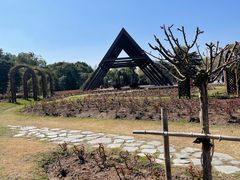 -上海滨江森林公园