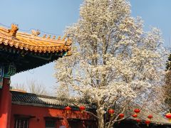 门面-景山公园