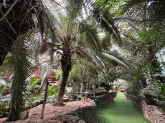 -呀路古热带植物园
