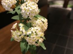 -春水堂人文茶馆