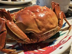 -阳光岛·海鲜盛宴(银泰中心in99店)