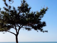 -威海国际海水浴场旅游区