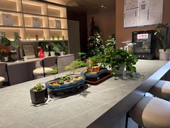 -Sips&Lick茶兰咖啡(五道口店)