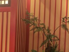 -牛New寿喜烧(金鹰世界店)