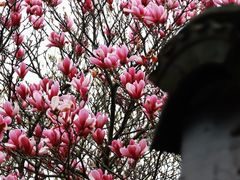 -柯岩风景区