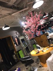 -时尚殿堂明星门店