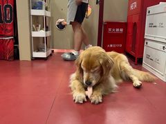 -和它·交个朋友·狗咖猫咖(爱琴海店)