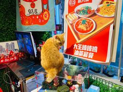 -大王油茶(磁器口店)