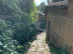 -杨家堂村