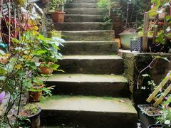 -鱼乐岛餐厅·户外花园主题餐厅