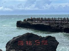 -涠洲岛火山国家地质公园
