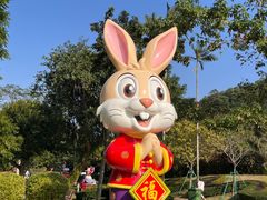 -石排湾郊野公园