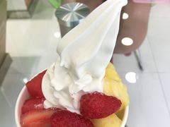 -Salud撒露欧洲冻酸奶(北苑上品店)