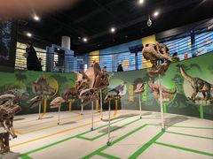 -国家自然博物馆