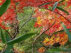 -白马涧龙池景区