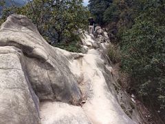 -缙云山景区