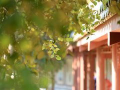 -广州神农草堂中医药博物馆