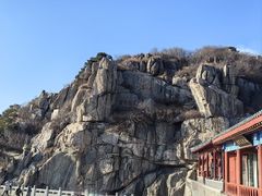 -大鸭梨烤鸭(望京店)