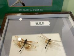 -上海昆虫博物馆