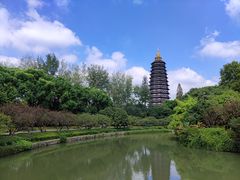 -红梅公园