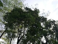 -金山植物公园