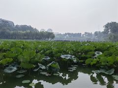-中国农业博物馆