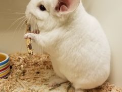 -龙猫仔乐园(惠福东路店)