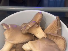 -刘一手重庆火锅(万达广场店)