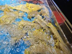 -徐记海鲜(大雁塔|金都店)