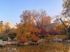 -迎泽公园