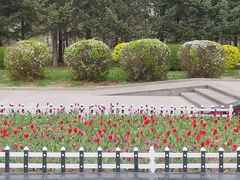 -长春公园(普阳街道)