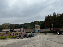 -宜兴龙背山森林公园