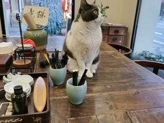 -五观堂素食(新华路店)