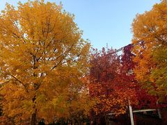 -中央戏剧学院(昌平校区)