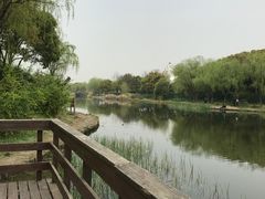 -新江湾城公园