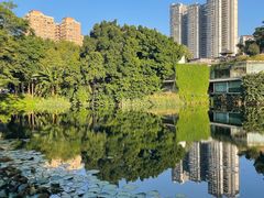 -荔湾湖公园