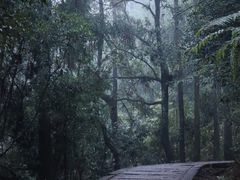 -玉苍山国家森林公园