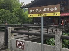 -大唐贡茶院