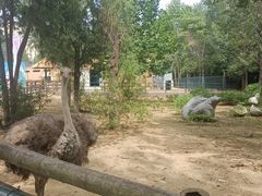 -大连森林动物园