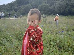 -白草畔自然风景区