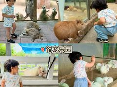 -杭州野生动物世界