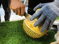 -都念榴莲·城市榴莲