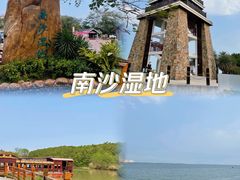 -大湾区中央湿地公园