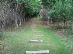 -梁鸿国家湿地公园