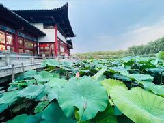 -济南大明湖景区