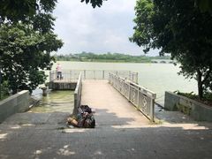 -鹤之洲湿地公园