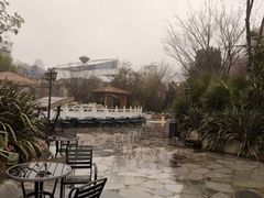 -地中海传奇水汇