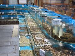 -晓伟海鲜家常菜