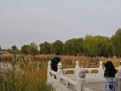 -西海子公园